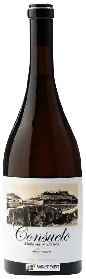 Winery Alfredo Maestro - Consuelo Albillo Mayor