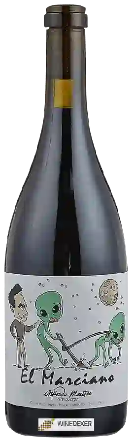 Winery Alfredo Maestro - El Marciano