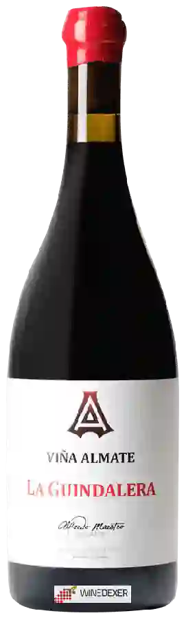 Winery Alfredo Maestro - La Guindalera (Viña Almate) Winery Alfredo Maestro - La Guindalera (Viña Almate)