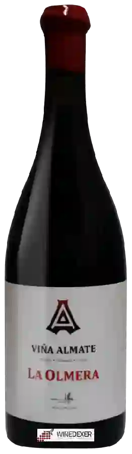 Winery Alfredo Maestro - La Olmera (Viña Almate)