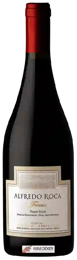 Winery Alfredo Roca - Fincas Pinot Noir