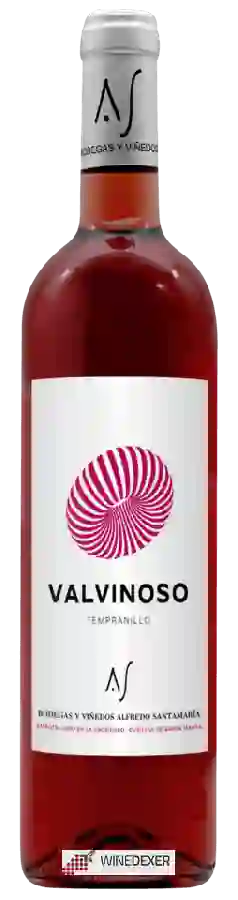 Winery Alfredo Santamaría - Valvinoso Rosé