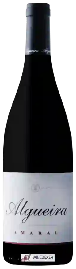 Winery Algueira - Amaral