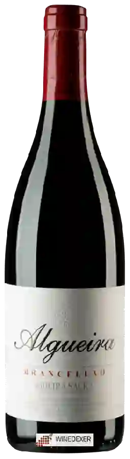 Winery Algueira - Brancellao Winery Algueira - Brancellao