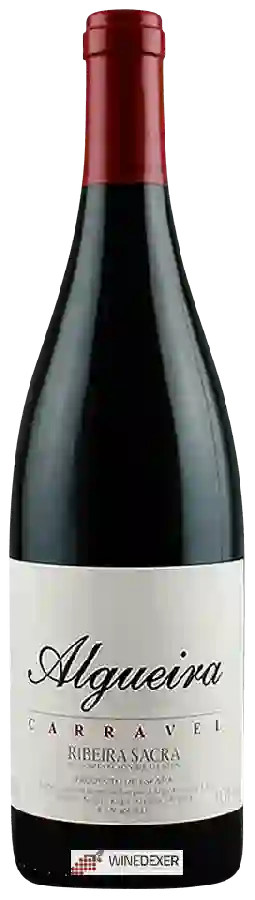 Winery Algueira - Carravel