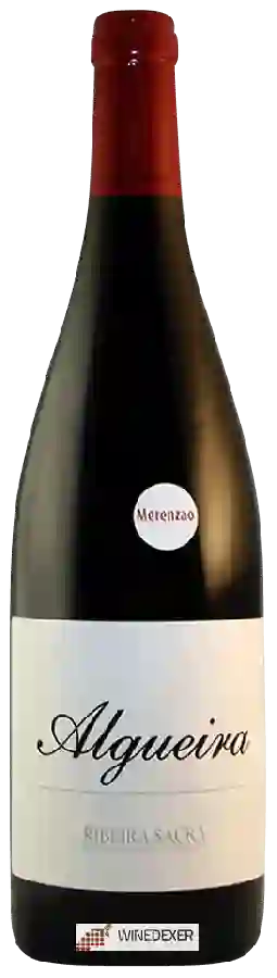 Winery Algueira - Risco (Merenzao)