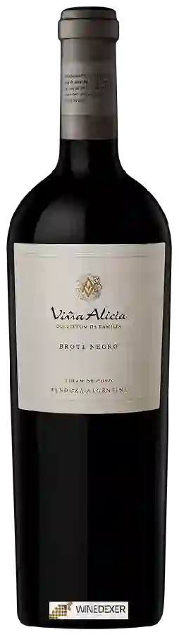 Winery Viña Alicia - Brote Negro (Colección de Familia)