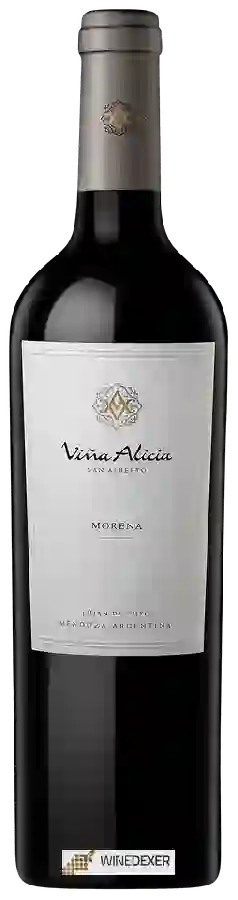 Winery Viña Alicia - Morena (San Alberto) Winery Viña Alicia - Morena (San Alberto)