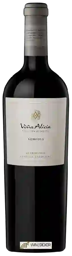Winery Viña Alicia - Nebbiolo (Colección de Familia)