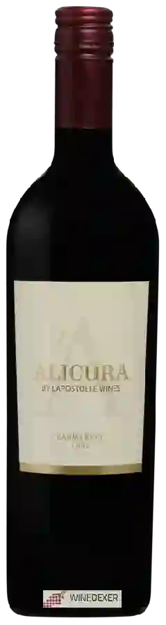 Winery Alicura - Carmenère Winery Alicura - Carmenère
