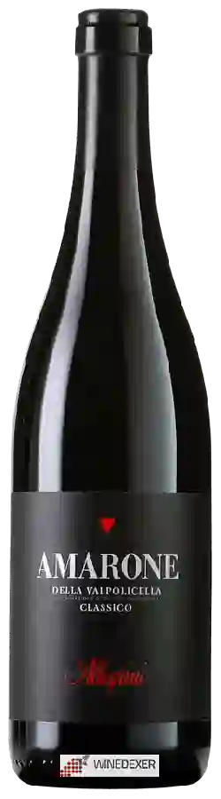 Winery Allegrini - Amarone della Valpolicella Classico Winery Allegrini - Amarone della Valpolicella Classico