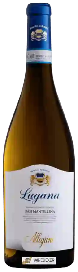 Winery Allegrini - Oasi Mantellina Lugana