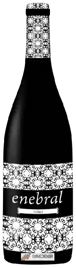 Winery Allegro Con Spirito - Enebral Tinto de Toro