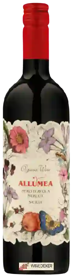Winery Allumea - Organic Nero d'Avola - Merlot