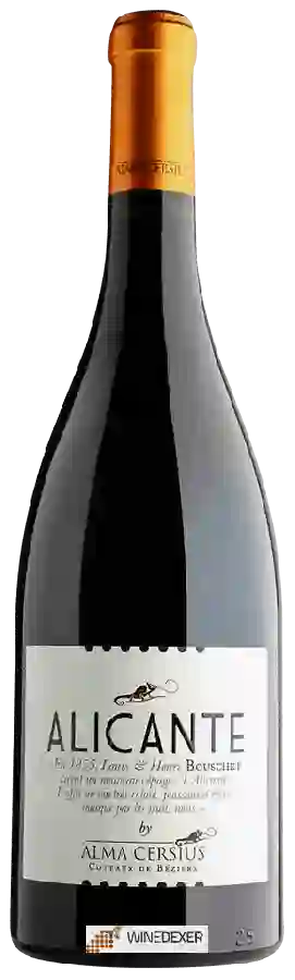 Winery Alma Cersius - Alicante