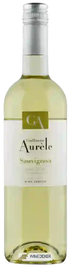Winery Alma Cersius - Guillaume Aurèle Sauvignon