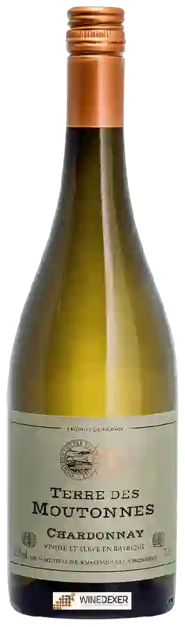 Winery Alma Cersius - Terre des Moutonnes Chardonnay