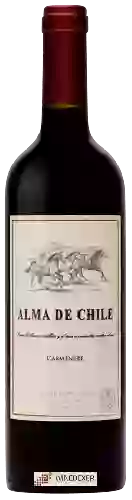 Winery Alma de Chile - Carménère