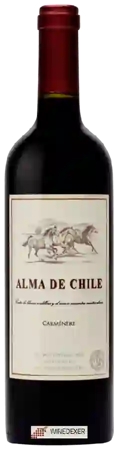 Winery Alma de Chile - Carménère Winery Alma de Chile - Carménère