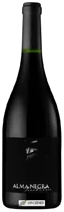 Winery Alma Negra - Pinot Noir