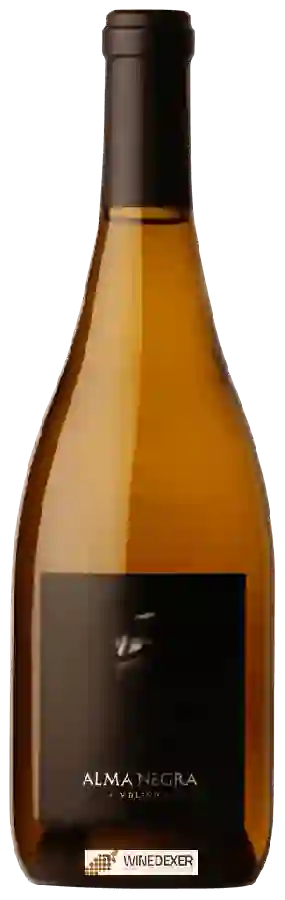 Winery Alma Negra - V Blend