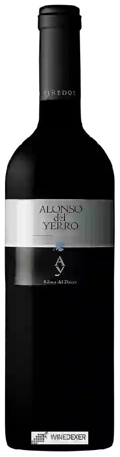 Winery Alonso del Yerro - Ribera del Duero