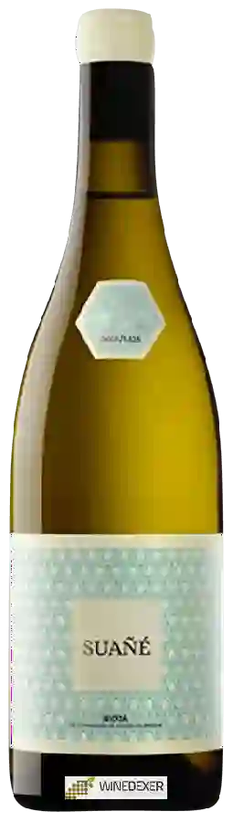 Winery Alonso & Pedrajo - Suañé Blanco
