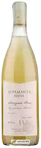 Winery Alpamanta - Breva Sauvignon Blanc