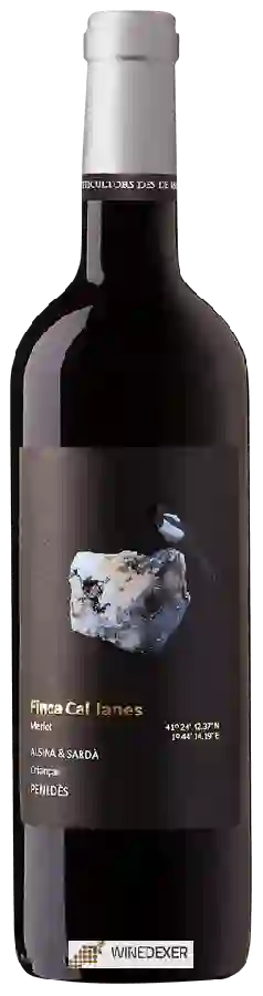 Winery Alsina & Sarda - Finca Cal Janes Merlot Winery Alsina & Sarda - Finca Cal Janes Merlot