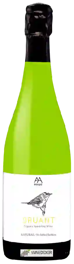 Winery Alta Alella - Bruant