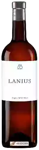Winery Alta Alella - Lanius