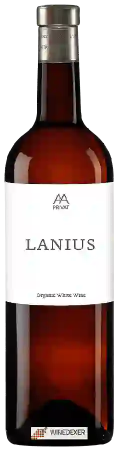 Winery Alta Alella - Lanius Winery Alta Alella - Lanius