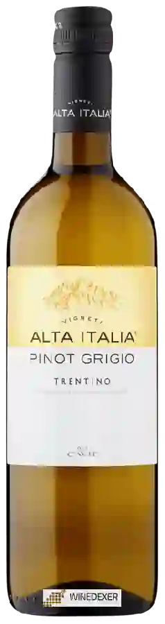 Winery Alta Italia - Pinot Grigio Winery Alta Italia - Pinot Grigio