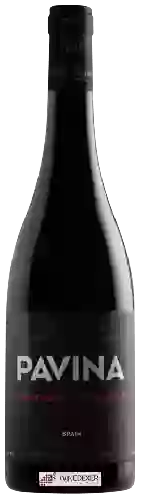 Winery Alta Pavina - Pinot Noir - Tempranillo