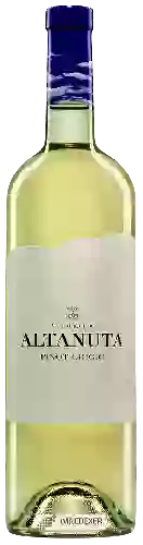 Winery Altanuta - Pinot Grigio Valdadige