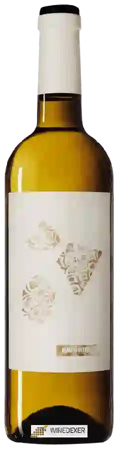 Winery Altavins - Almodí Petit Blanc