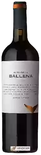 Winery Alto de la Ballena - Cabernet Franc Reserva