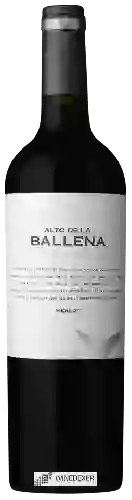 Winery Alto de la Ballena - Merlot Reserva