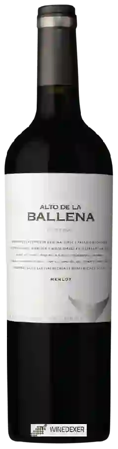 Winery Alto de la Ballena - Merlot Reserva Winery Alto de la Ballena - Merlot Reserva