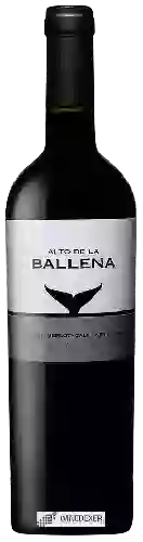 Winery Alto de la Ballena - Tannat - Merlot - Cabernet Franc