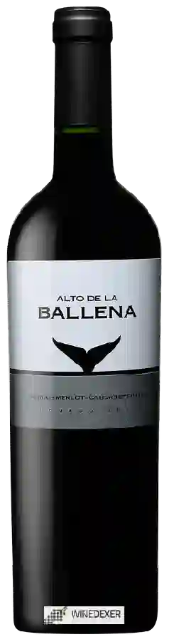 Winery Alto de la Ballena - Tannat - Merlot - Cabernet Franc