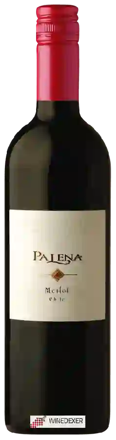 Winery Alto Palena - Merlot Winery Alto Palena - Merlot