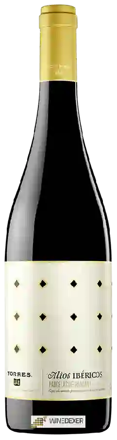 Winery Altos Ibéricos - Parcelas de Graciano