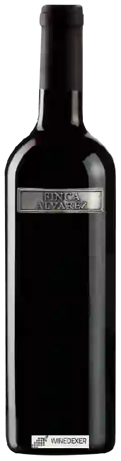 Winery Alvarez Nölting - Finca Alvarez