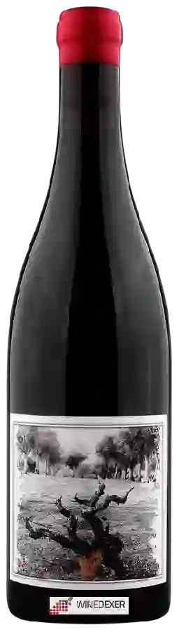 Winery Quinta da Pellada - Álvaro Castro Muleta Tinto Winery Quinta da Pellada - Álvaro Castro Muleta Tinto