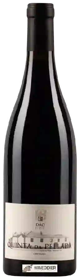 Winery Quinta da Pellada - Dão Tinto