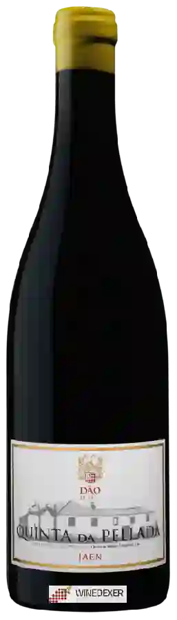 Winery Quinta da Pellada - Jaen Winery Quinta da Pellada - Jaen