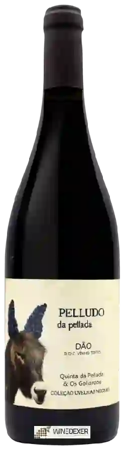 Winery Quinta da Pellada - Pelludo Coleção Uvelhas Negras