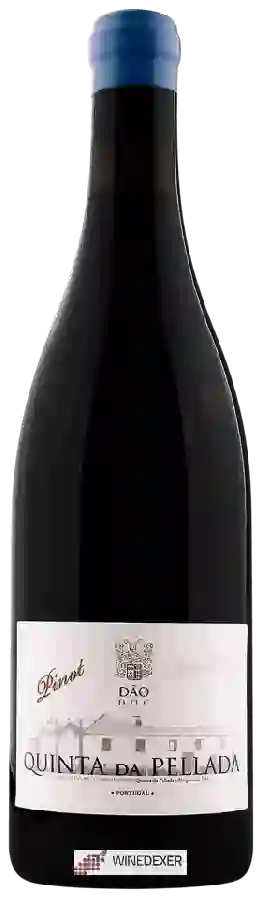 Winery Quinta da Pellada - Pinot