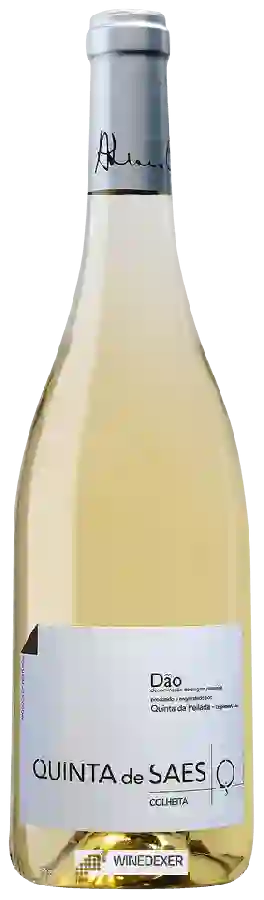 Winery Quinta da Pellada - Quinta de Saes Branco